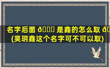名字后面 💐 是鑫的怎么取 🌺 (吴玥鑫这个名字可不可以取)